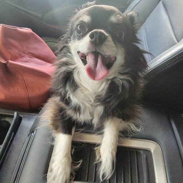 AFTER THE SHOW PODCAST: Sparky News.