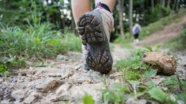 Amid string of missing hikers, how can you stay safe while on the trails? An expert weighs in