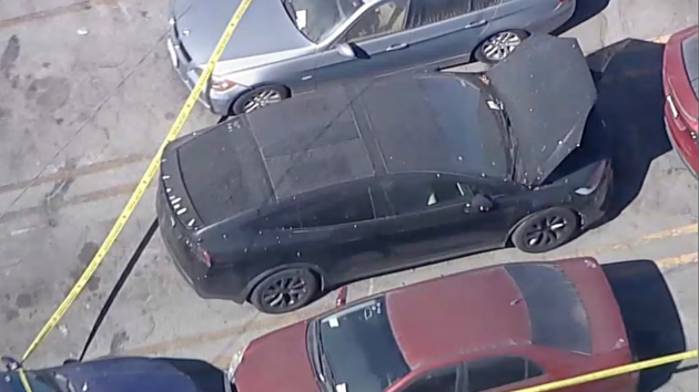 Decomposing body found in trunk of Tesla registered to singer D4vd in Los Angeles tow yard: Police sources