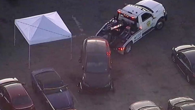 Body found in towed Tesla registered to singer D4vd identified as 15-year-old girl