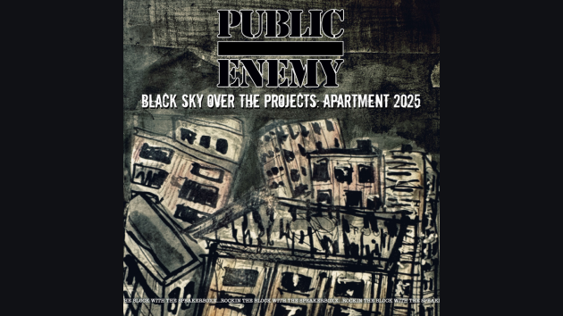 Flavor Flav says Public Enemy’s ‘The Hits Just Keep on Comin’ video has ‘important history lesson’