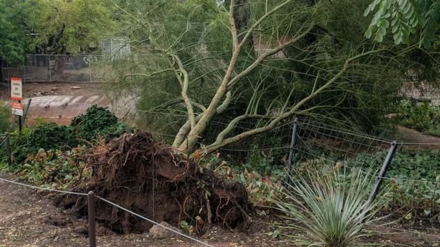 Powerful storm leaves over 130 displaced in Tempe, Arizona