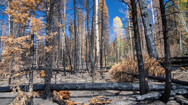 Intensifying drought could trigger water shortages and prolonged fire season in the West