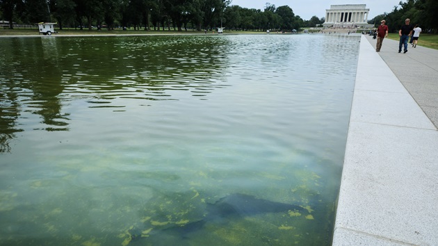 Reflecting Pool renovations to cost more than $16 million