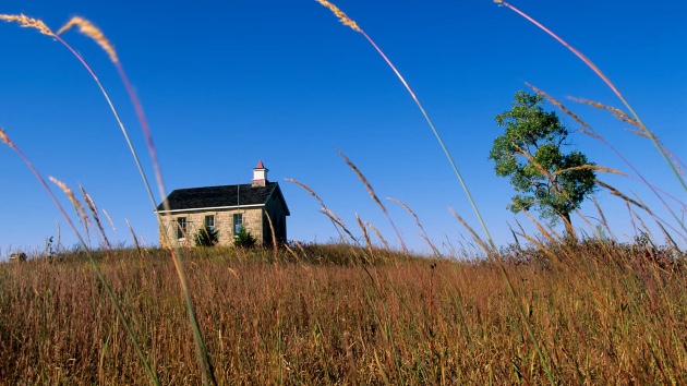 The US has lost about half of its historical grasslands. Why experts say it’s important to protect what’s left