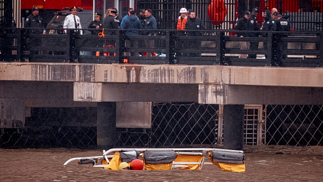 Bird strike likely caused New York City helicopter crash in Hudson River: NTSB